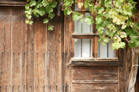 wall of the farmhouse - 3の写真素材