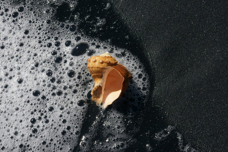 beach space - 9