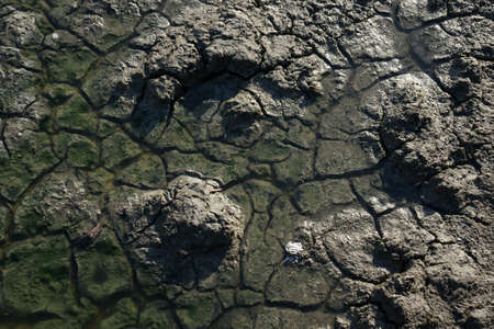thirst 10の写真素材