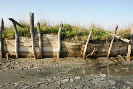 dried creek 4の写真素材