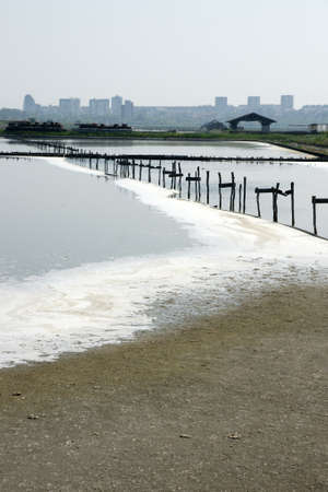 pathway 29の写真素材