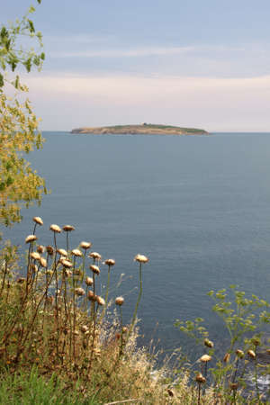 flowers and island 1の写真素材