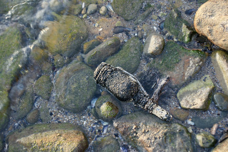 old bottle 10の写真素材