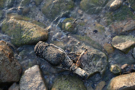 old bottle 13の写真素材