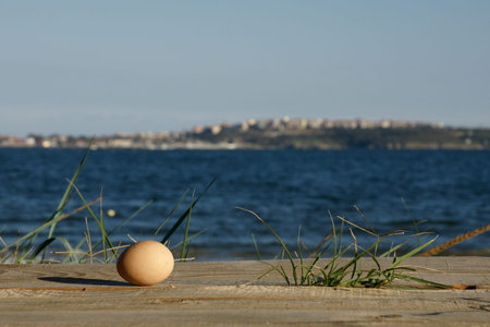 egg on the beach 4
