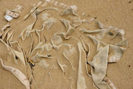 forgotten towel 11の写真素材