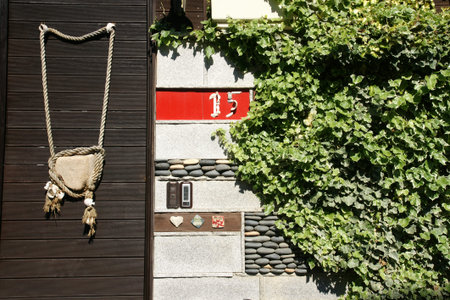ivy on the wall 4