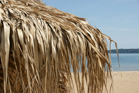 beach umbrella 5の写真素材