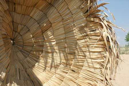 beach umbrella 7の写真素材