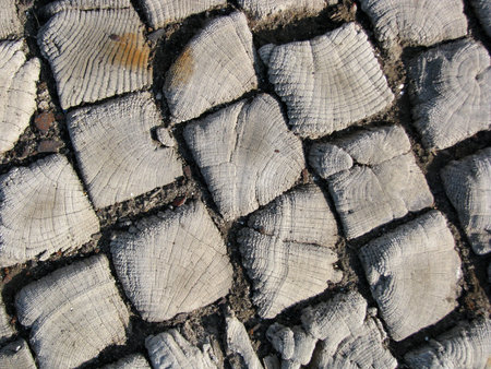 wooden paving 10の写真素材