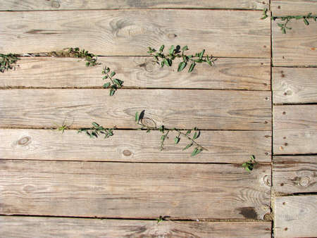 white fence 3の写真素材