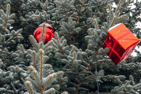 Decorated christmas tree in the street. Shallow depth of fieldの写真素材