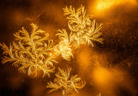 Frosty natural pattern on winter window