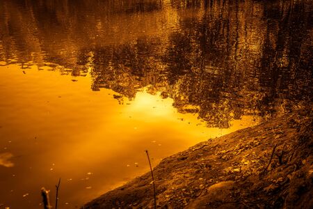 Pond with ducks in the park in warm autumn weather. Sunny autumn dayの写真素材