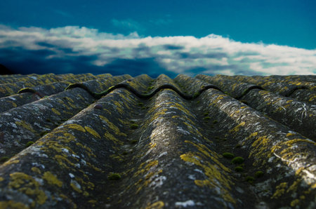 roof tiles and sky sunlight