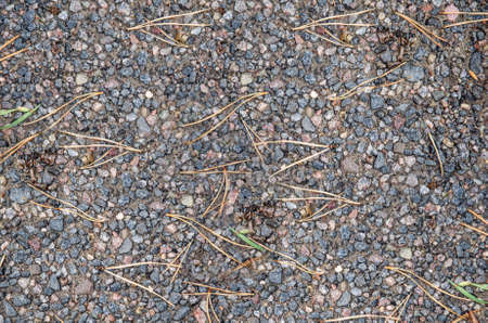 Coarse gravel, black and gray. Background texture gravelの写真素材