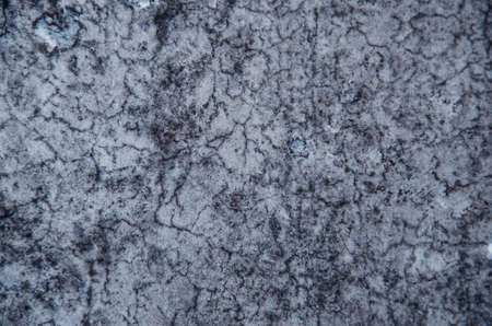 Vintage or grungy white background of natural cement or stone old texture as a retro pattern wall.の写真素材