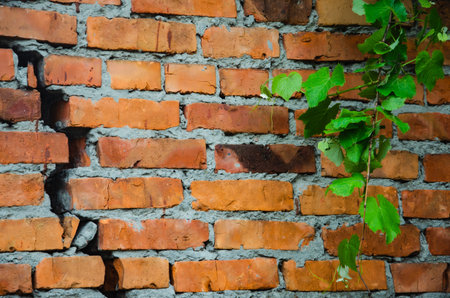 red brick wall texture grunge background with vignetted cornersの写真素材