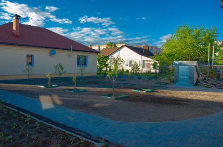 sapling tree ready for planting in the city park, concept of landscapingの写真素材