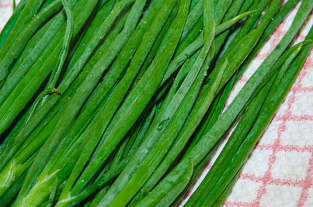 Fresh green onion feathers with white onions.