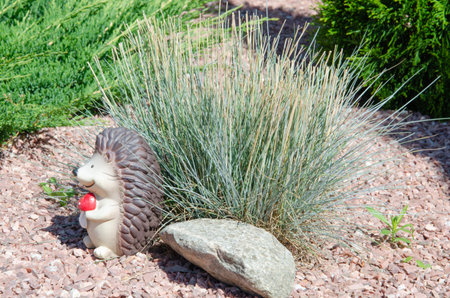 cute hedgehog garden decor. Beautiful Ceramic statue hedgehog on green grass, summer lawn.の写真素材