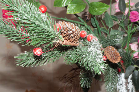 Spruce branch. Beautiful branch of spruce with needles. Christmas tree in nature.の写真素材