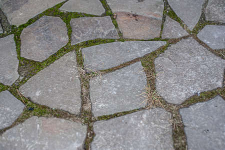 stone wall with green moss in the joints naturalの写真素材