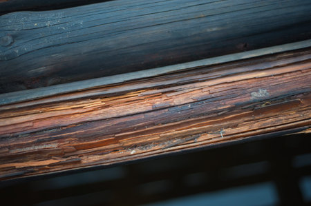 vintage wood background texture with knots and nail holes panelの写真素材