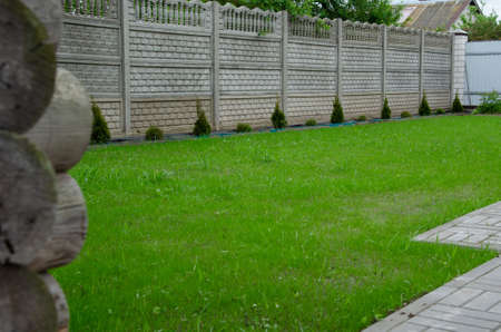 A beautiful artificial lawn in the front yard with nice flowers and shrubs surrounding itの写真素材
