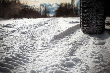 The winter park was covered with snow. Trees, bushes, earth, paths - all covered with snow-white snow.の写真素材