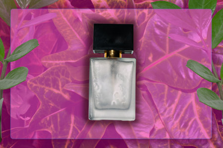 Minimalistic composition of a perfume bottle for the layout. A bottle made of transparent glass on a background of green leaves. An idea for advertising fresh summer perfumes.の写真素材