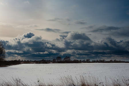 The winter park was covered with snow. Trees, bushes, earth, paths - all covered with snow-white snow. winter background.の写真素材