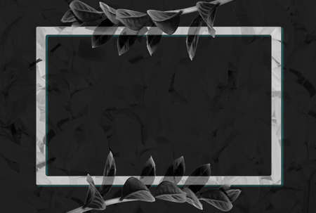 The background is in light colors. bleached tree leaves with black border for text insertion, tinted.の写真素材