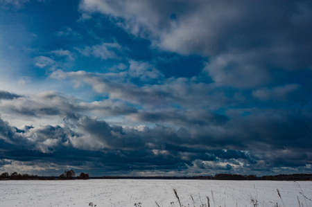 The winter park was covered with snow. Trees, bushes, earth, paths - all covered with snow-white snow. winter background.の写真素材