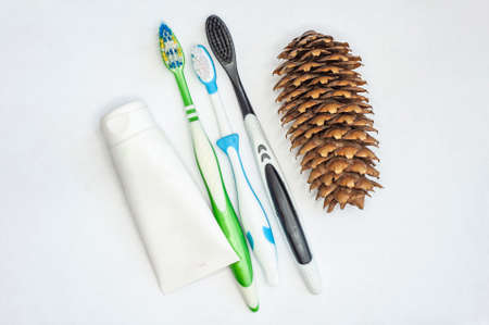three toothbrushes for adults and children and a tube of paste on an isolated white background. with a place to insert text. and fir cones, naturalの写真素材
