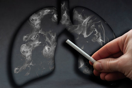 Man holding broken cigarette in hand. Stop smoking. Cigarette, nicotine damage, lungs ruined by smoke. World No Tobacco Day.の写真素材