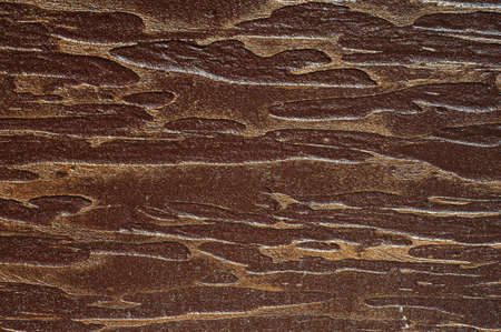 Marble texture background with high resolution, Italian marble slab,の写真素材