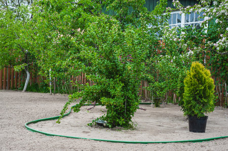 landscalescaping of the territory near country houses, recreation areas in cities and townsの写真素材