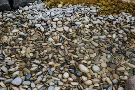 construction of big round garden Alpine slide with stones and dwarf conifers and circularの写真素材