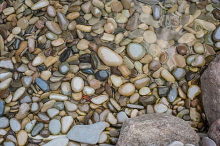 construction of big round garden Alpine slide with stones and dwarf conifers and circularの写真素材