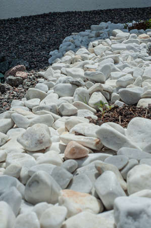 Pebbles, small white stones, the texture of the stone. flower bed designの写真素材