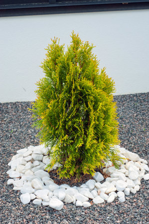 Pebbles, small white stones, the texture of the stone. flower bed design