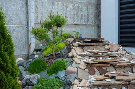 construction of big round garden Alpine slide with stones and dwarf conifers and circularの写真素材