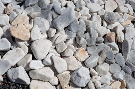 Pebbles, small white stones, the texture of the stone. flower bed designの写真素材