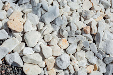 Pebbles, small white stones, the texture of the stone. Flower bed design, garden decor with green plantの写真素材