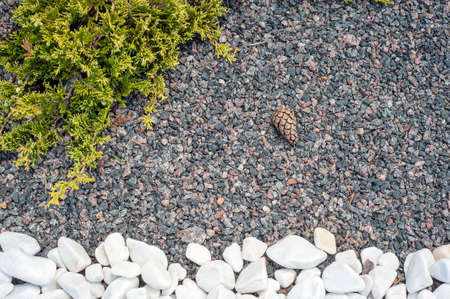 Pebbles, small white stones, the texture of the stone. flower bed designの写真素材