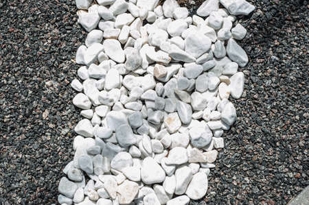 Pebbles, small white stones, the texture of the stone. flower bed designの写真素材