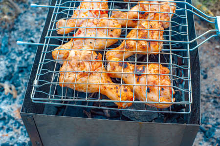 Chicken legs and wings are fried on coals in a brazier in a barbecue grill, marinated chicken is fried on a picnic.の写真素材