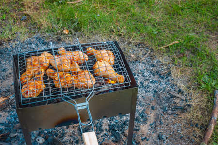 Chicken legs and wings are fried on coals in a brazier in a barbecue grill, marinated chicken is fried on a picnic.の写真素材