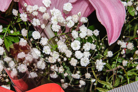 Chamomile. Daisy. Matricaria. Perennial flowering plant. Beautiful flower abstract background of nature.の写真素材